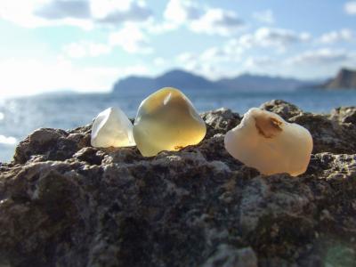 Прикрепленное изображение: DSCF6176.jpg